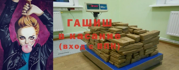 гашик Каменка