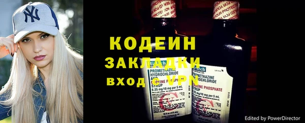 гашик Каменка