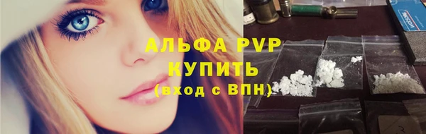 гашик Каменка