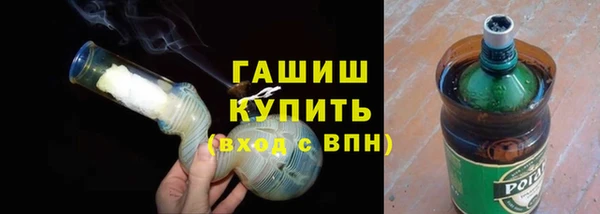 гашик Каменка