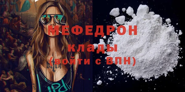 гашик Каменка