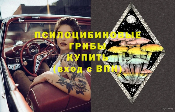 герыч Каменногорск
