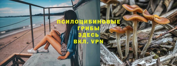 герыч Каменногорск