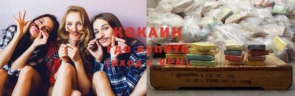 гашик Каменка