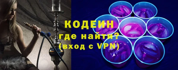 гашик Каменка