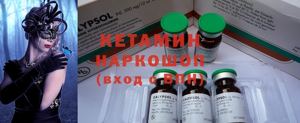 гашик Каменка