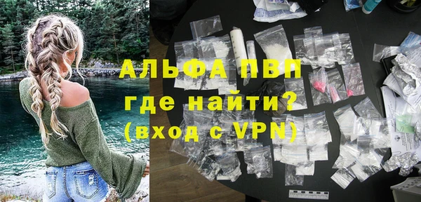 гашик Каменка