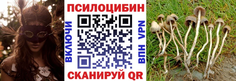 Купить закладки  Суровикино  Галлюциногенные грибы MAGIC MUSHROOMS 