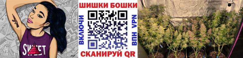Купить закладки  Суровикино  Шишки марихуана планчик 